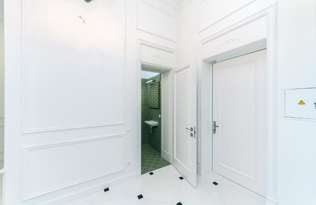 Апартаменты VIP apartment near Kreschatyk, 31а Pushkinska Street Киев-46